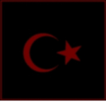 Turkish Criminality Organization