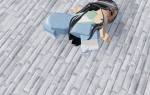 Las_mexicanas