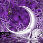 Night Kidz Group