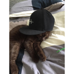 garfield is a cool dude