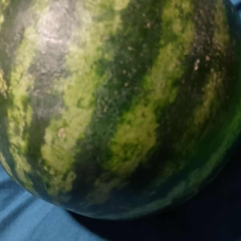 Watermelon!!!