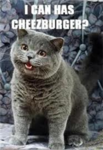 i can has cheezeburger?