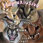 Flop Exclusive
