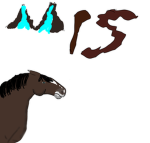 Mountain Peak Stables