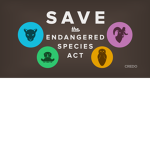 Wildlife Research Society