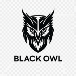 BLACKOWL STUDIO