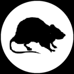 Rat Soilders Group Thumbnail