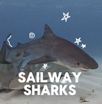 *~* Sailway Sharks *~*