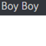 Boy Boy Studios
