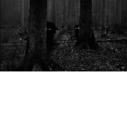 Just Survive...