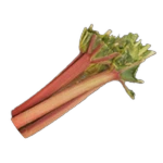 rhubarb.png