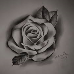 B$X giveaway
