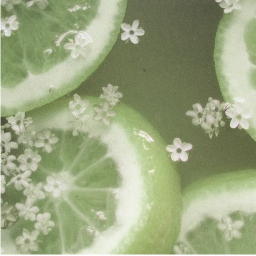 °🌿.  🍵  ˚