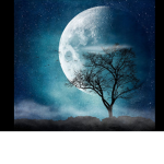 Alone.And.Afraid