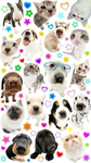 Doggy fan group <3