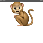 MONKEY SQUAD BOI