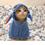 -̈مياو-̈