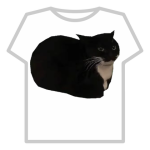 Maxwell the Cat