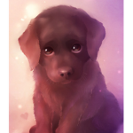 Sad dog people