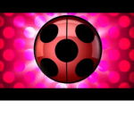 Ladybug and Cat noir/ LB and CN