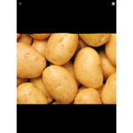 The Potato Studios!