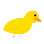 The epik duckyz