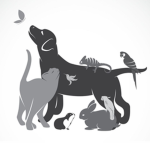 Creature Crew