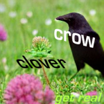 -CC Games-