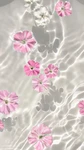 ~Lola-fans~ Group Thumbnail