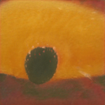 Kingdom Of Sun