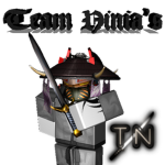 Team Ninja's
