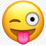 Floptok group