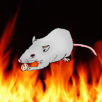 Way of the Rats