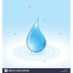 The water studio