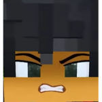 Y Blox