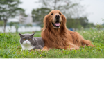 My freindssss