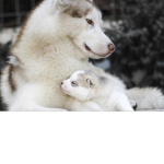 BFF# friends