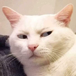 uwu
