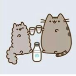 Pusheen And Stormy! :3