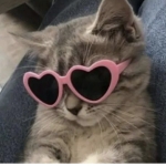 Heartfamss