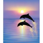 Save the dolphins (animals)
