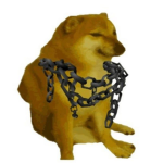 「 Doge Chain 」