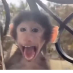 Hiii how you doin