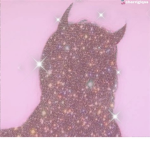 Angelinaroger