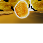 (Chicken Nuggies)