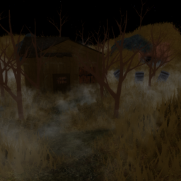 Abandoned Shack