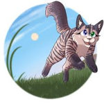 Warriors-Cats Role-Play