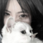 CUTE , CATS