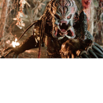 Predator Hunter Clan