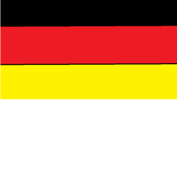 THE VIETNAM EXPIRENCE THE VIETNAM EXPIRENCE